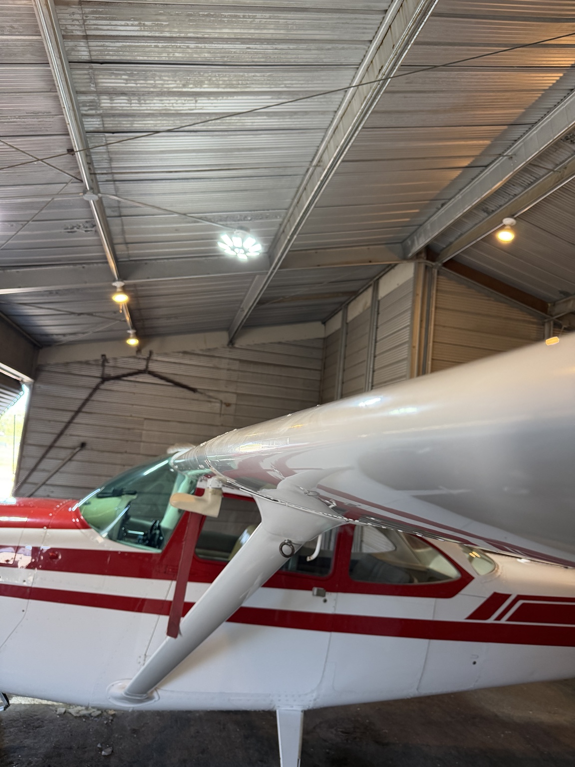 Cessna wing after detailing