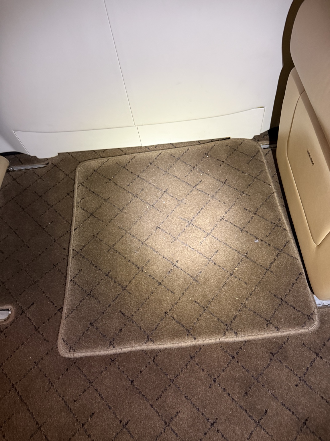 Falcon carpet before detailing